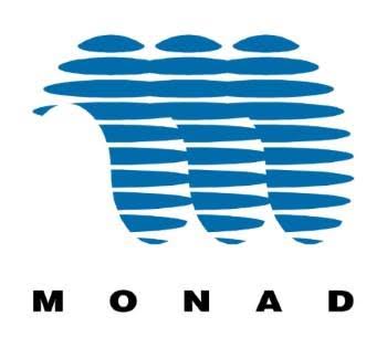 Monad